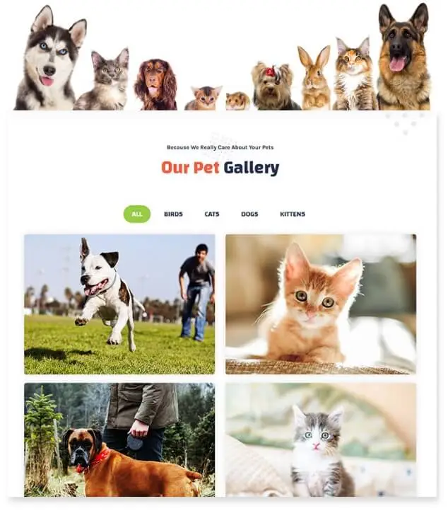 Visuals Elements Add Points Of Interest
To Your Page Veterinarians