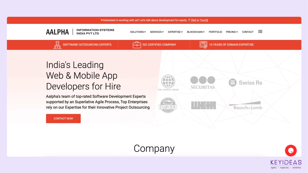 custom web app development services
