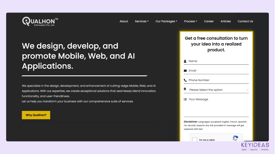 custom web application development company