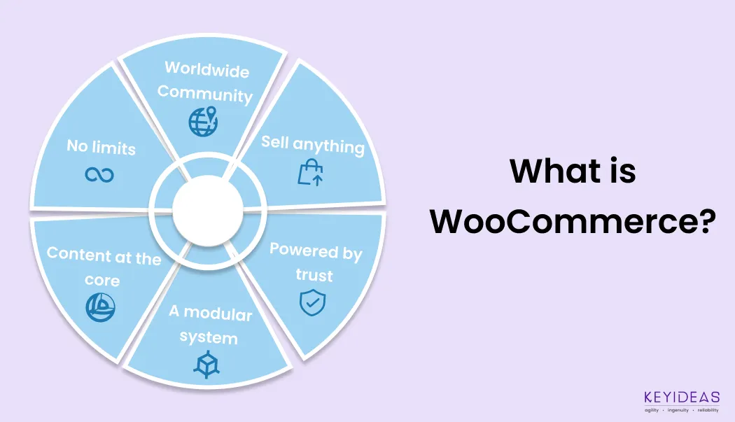 What is WooCommerce? Overview for Online Stores